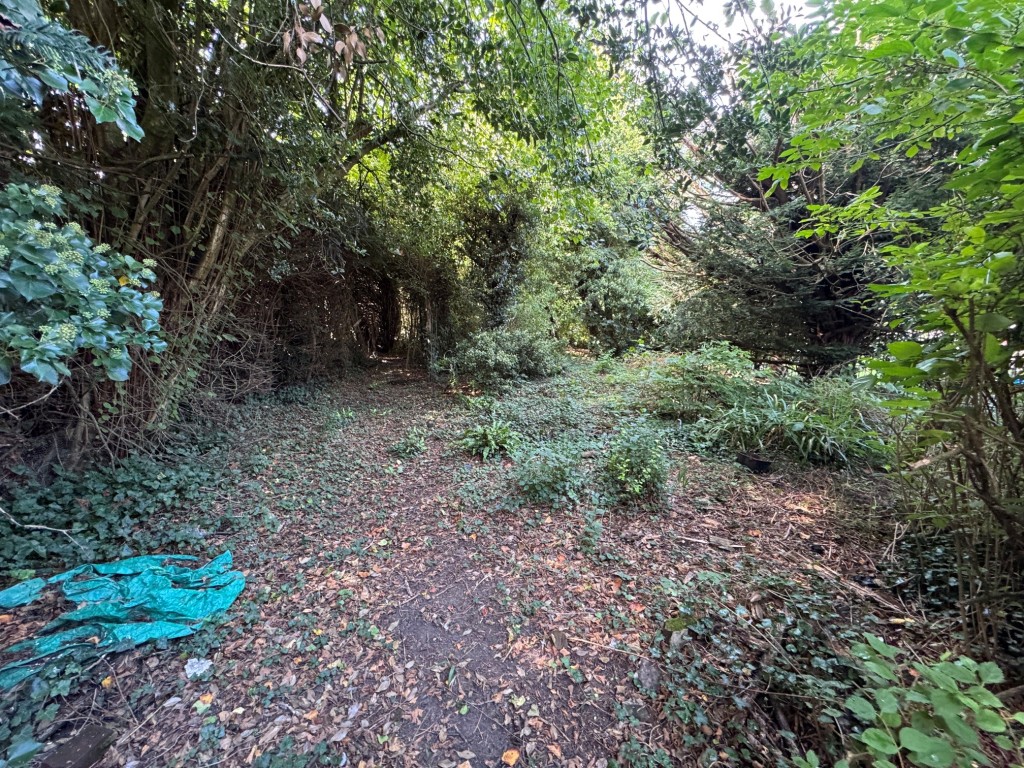 Lot: 128 - DETACHED COTTAGE FOR TOTAL REFURBISHMENT IN POPULAR VILLAGE - Garden alternative view